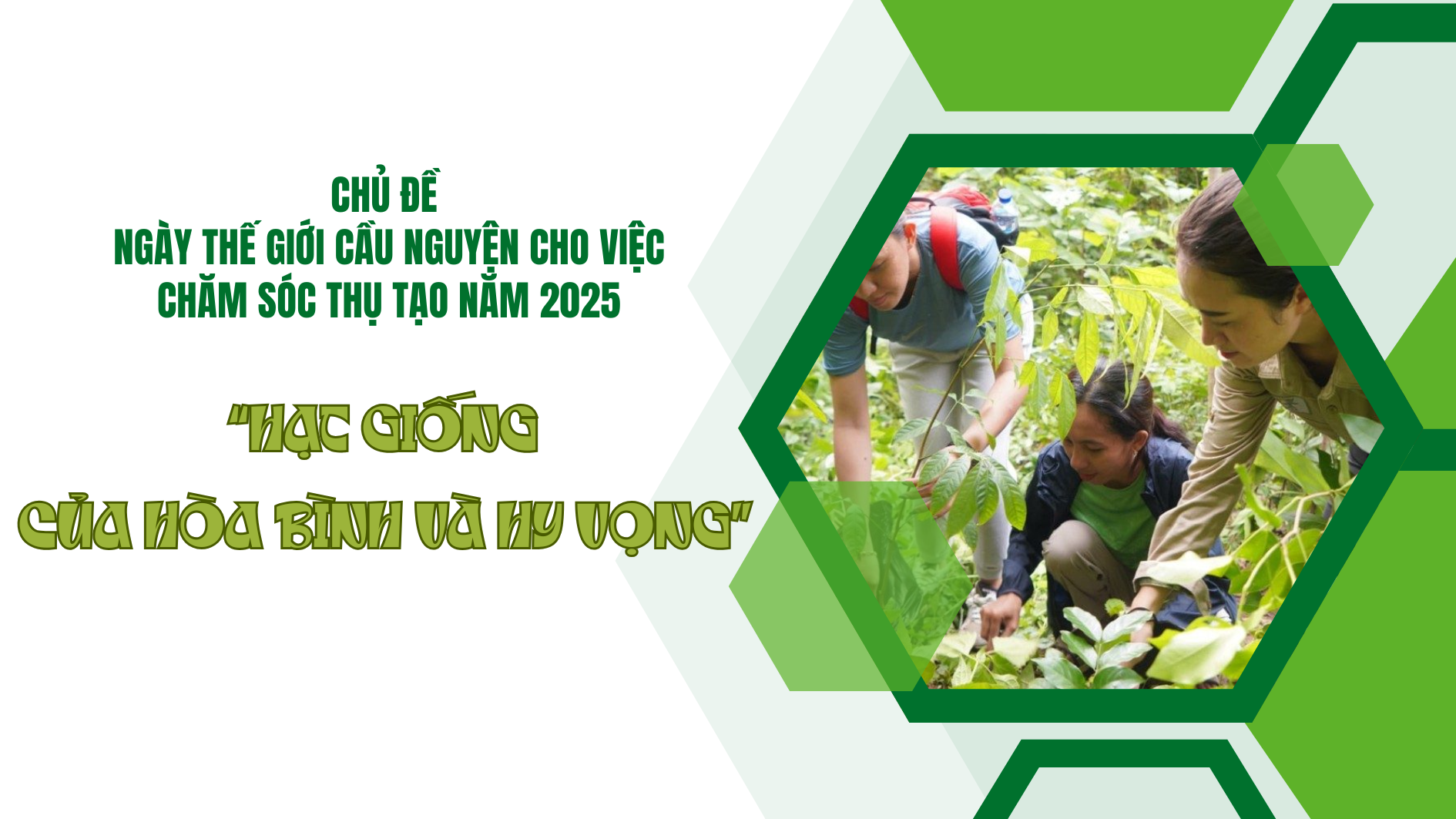 “Hạt giống của hòa bình và hy vọng”: Chủ đề cho Ngày thế giới cầu nguyện cho việc chăm sóc thụ tạo năm 2025